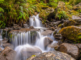 瀑布 溪水 流水 森林 小溪 