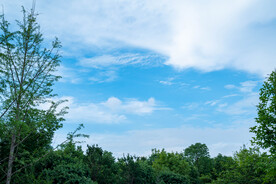 园林景观 湖水 公园一角 