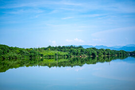  园林景观 湖水 公园一角 