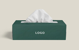 抽纸盒样机