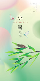 小暑二十四节气海报
