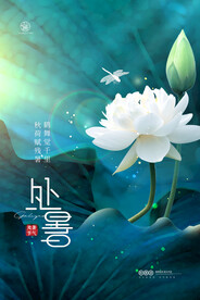 荷花意境处暑节气海报