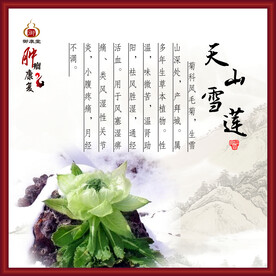 天山雪莲