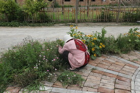 园丁  园艺  修剪