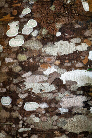 质感抽象背景纹理图片