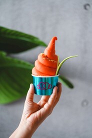 西瓜雪糕 冰淇淋