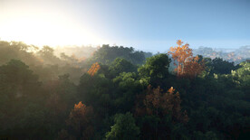 俯视 森林 绿色 唯美 鸟瞰