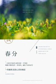 春分插画海报