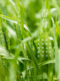 春分插画海报