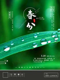 春分插画海报