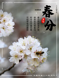 春分插画海报