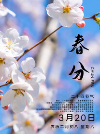春分插画海报