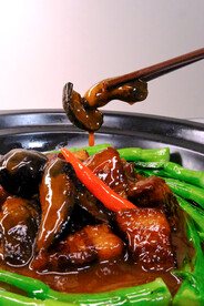 红烧肉牛肝菌