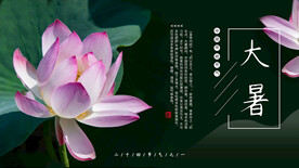 二十四节气大暑海报