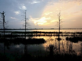 湖边晚霞树木剪影
