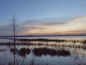 湿地公园湖边晚霞