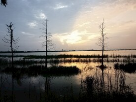 湖边晚霞湿地风景