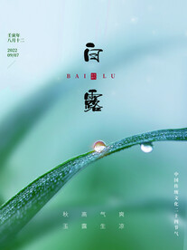 白露节气海报