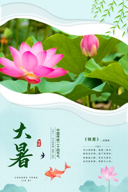 二十四节气大暑海报