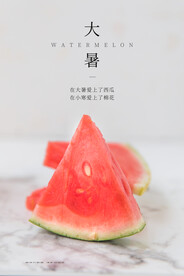 二十四节气大暑海报