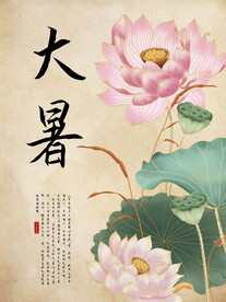 二十四节气大暑海报 