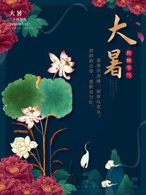 二十四节气大暑海报