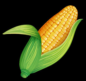 玉米