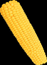 玉米