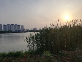 苏州澹台湖公园日落