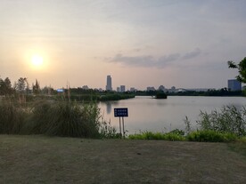 湿地公园日落风光