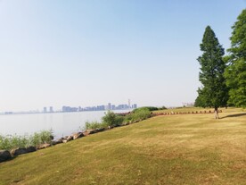 苏州湾观光大堤草地