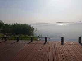 苏州湾观光大堤步道风光