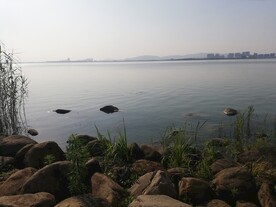 苏州湾湿地公园风光江景