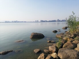 苏州湾湿地公园江景