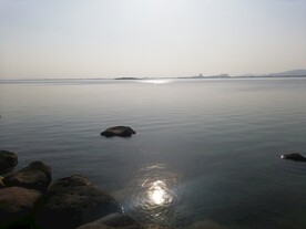 苏州湾湿地公园风光江景