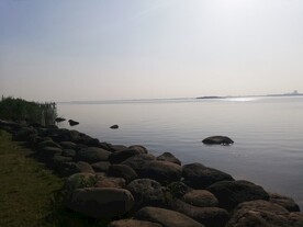 苏州湾湿地公园江景
