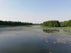湿地公园风光