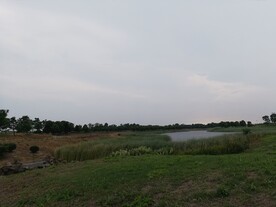 苏州湾湿地公园