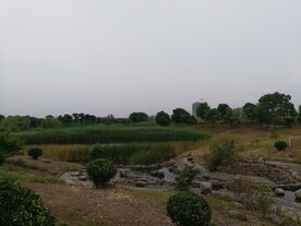 苏州湾湿地公园风光