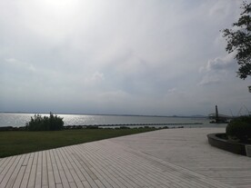 苏州湾湿地公园江景风光