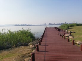 苏州湾观光大堤风光