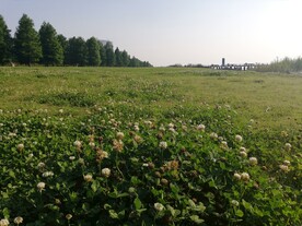 绿草地湿地公园风光