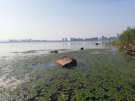 东太湖苏州湾湿地公园风光