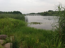 东太湖苏州湾湿地公园风光