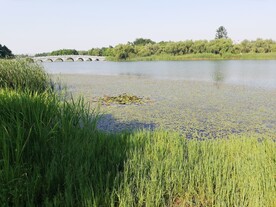 东太湖苏州湾湿地公园