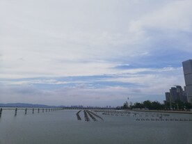 苏州湾 观光大堤 湿地公园