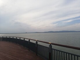 苏州湾观光大堤江景风光