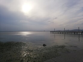 苏州湾观光大堤风景
