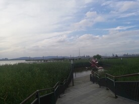 湿地公园荷花雕塑