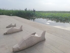 苏州湿地公园鱼和鸟雕塑